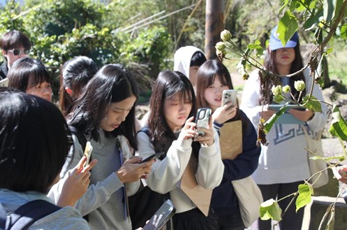 學生拍攝植物並上傳至相關網站